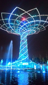 11653854_10207561289693234_454245428_o